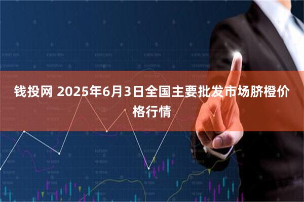 钱投网 2025年6月3日全国主要批发市场脐橙价格行情
