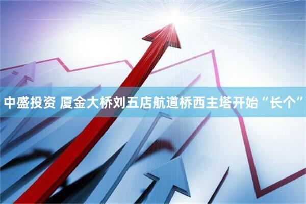 中盛投资 厦金大桥刘五店航道桥西主塔开始“长个”