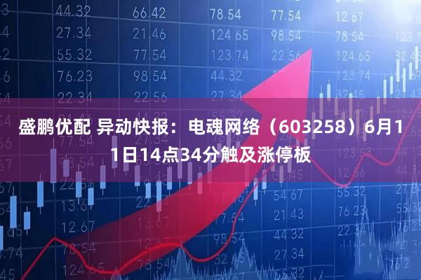 盛鹏优配 异动快报：电魂网络（603258）6月11日14点34分触及涨停板