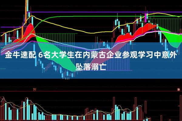 金牛速配 6名大学生在内蒙古企业参观学习中意外坠落溺亡