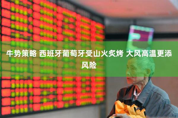 牛势策略 西班牙葡萄牙受山火炙烤 大风高温更添风险