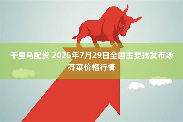 千里马配资 2025年7月29日全国主要批发市场芥菜价格行情