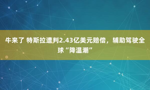牛来了 特斯拉遭判2.43亿美元赔偿，辅助驾驶全球“降温潮”