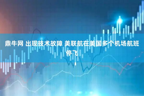 鼎牛网 出现技术故障 美联航在美国多个机场航班停飞