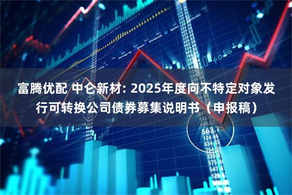 富腾优配 中仑新材: 2025年度向不特定对象发行可转换公司债券募集说明书(申报稿)